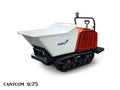 tracked buggy rental canycom